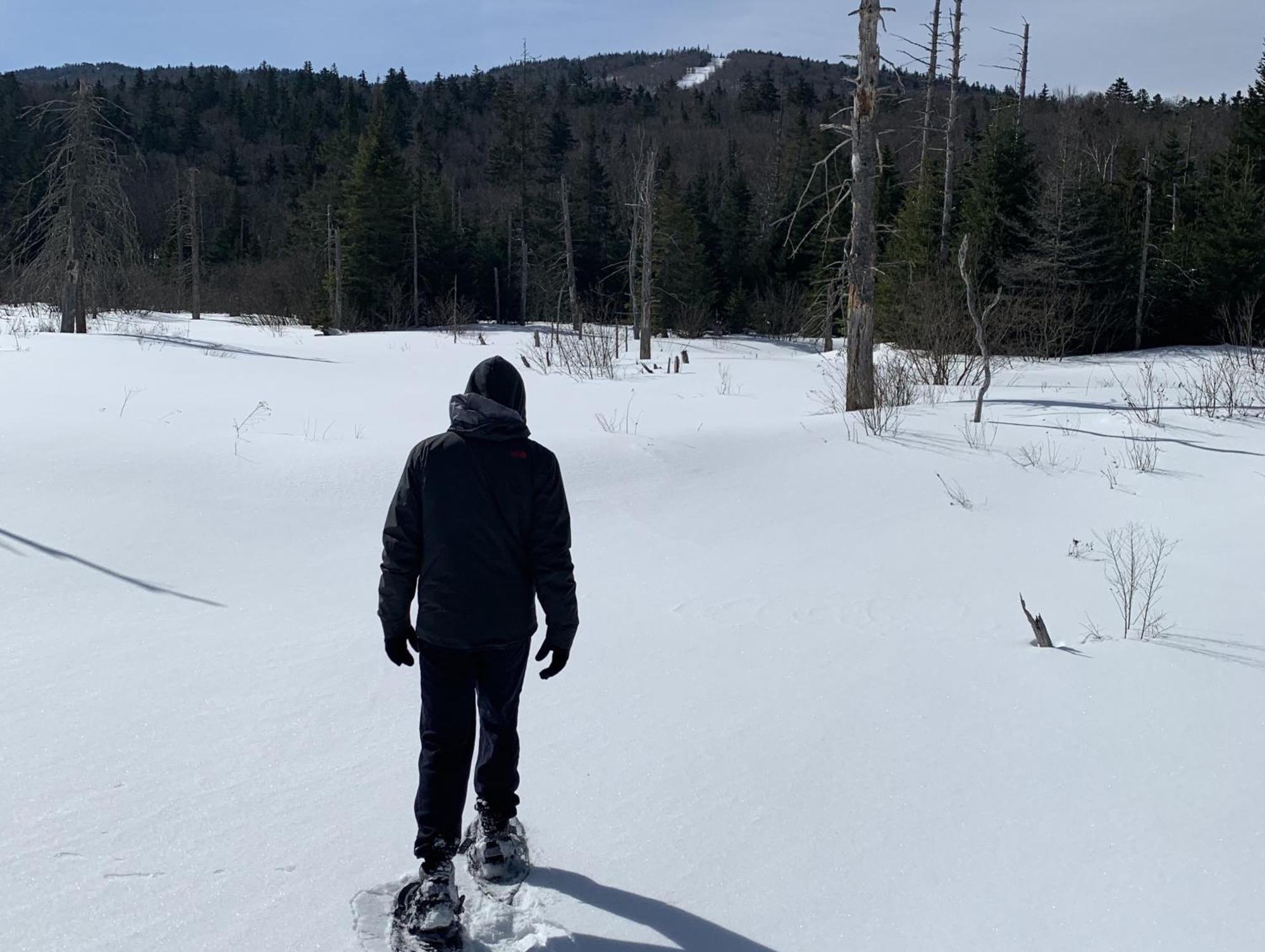 Bmv8 Tiny Home Village Near Bretton Woods Twin Mountain المظهر الخارجي الصورة